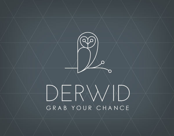 Derwid   Owl concept logo   Designed by marco lucidi